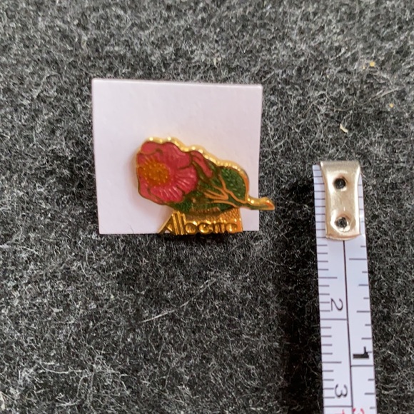 Vintage Alberta pin - Picture 6 of 6